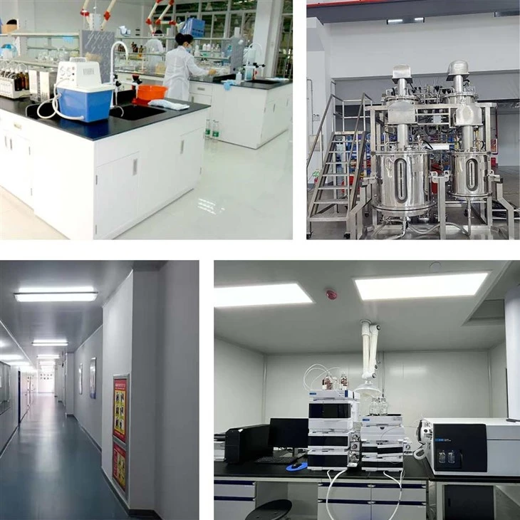 Mitoquinone Bromide manufacturers