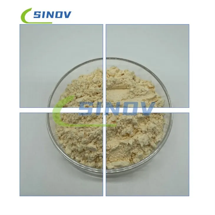 Glycyrrhiza Inflata Root Extract high quality