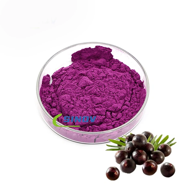 Poudre de supplément de baies d'açai biologique