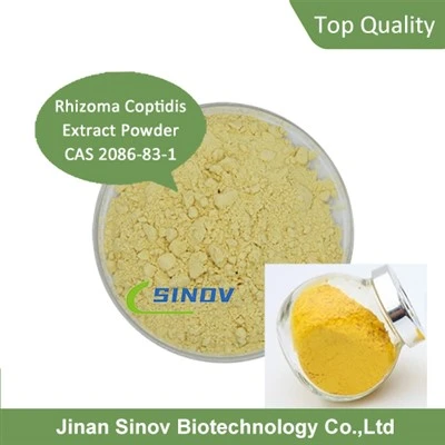 Rhizoma Coptidis Extrait de poudre