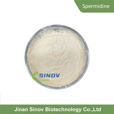Poudre de spermidine en vrac